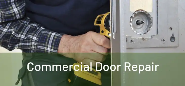 Commercial Door Repair