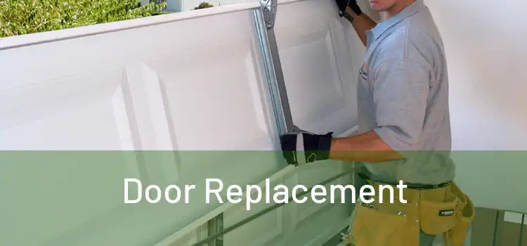  Door Replacement 