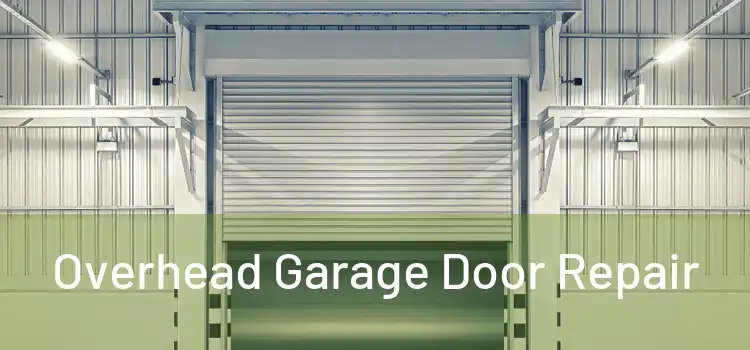  Overhead Garage Door Repair 